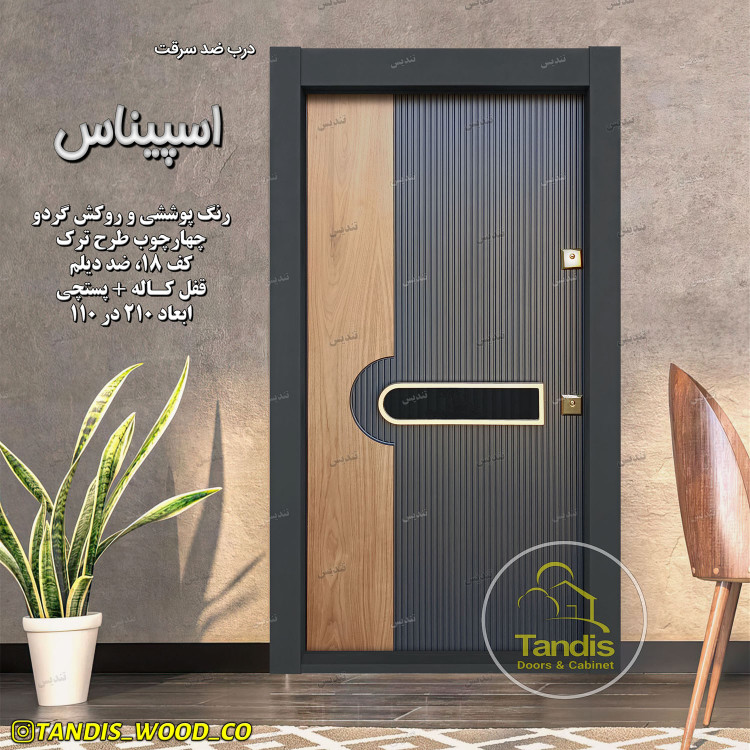 درب ضد سرقت مدل اسپیناس